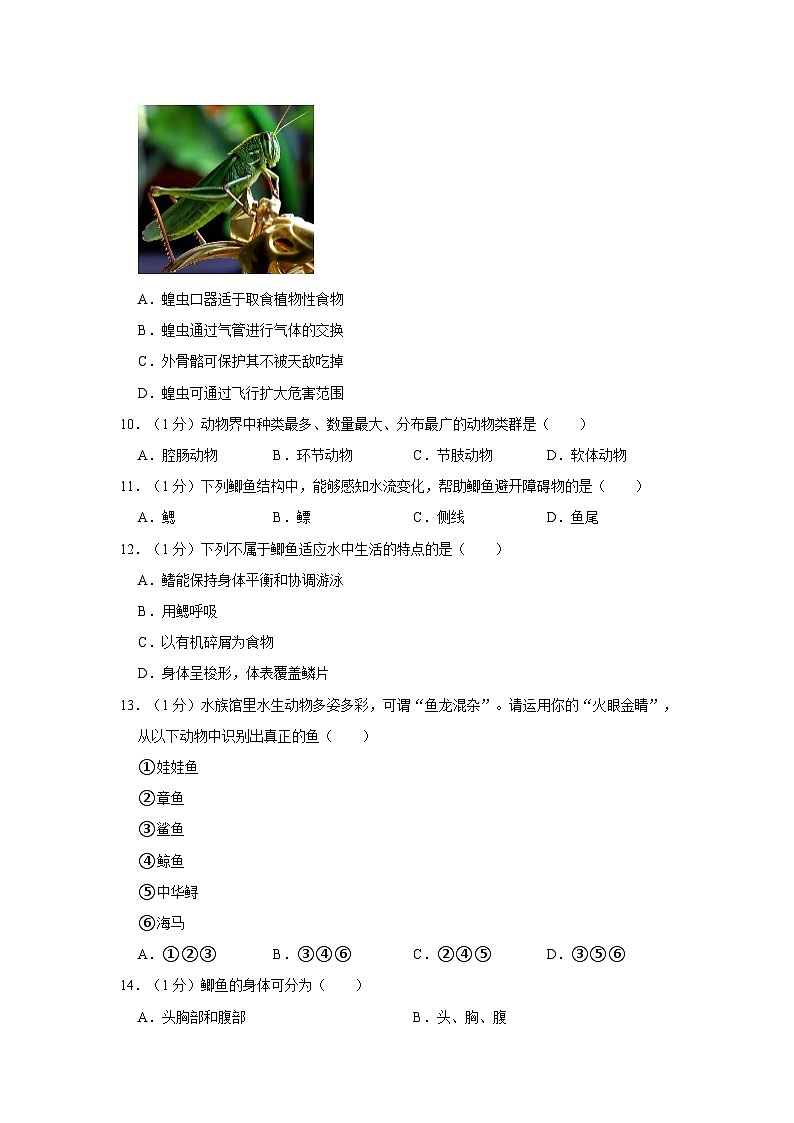 广西梧州市十一中2022-2023学年八年级上学期期中生物试卷02