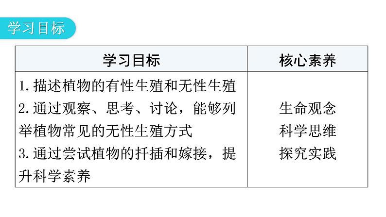人教版八年级生物下册第七单元第一章第一节植物的生殖教学课件第3页
