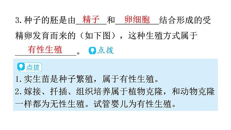 人教版八年级生物下册第七单元第一章第一节植物的生殖教学课件第6页