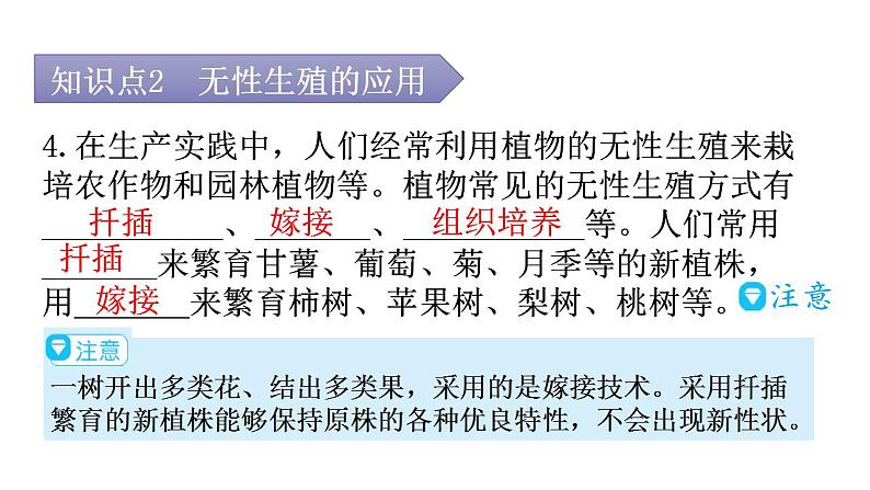人教版八年级生物下册第七单元第一章第一节植物的生殖教学课件第8页