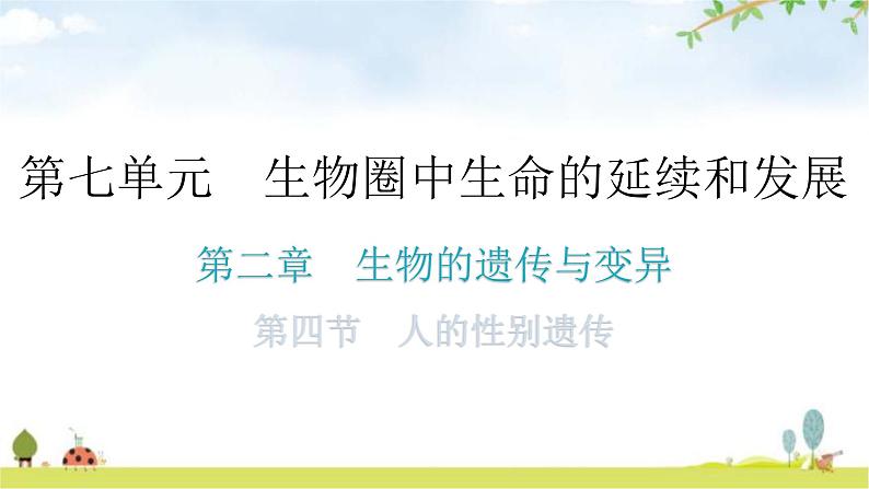 人教版八年级生物下册第七单元第二章第四节人的性别遗传分层作业课件01