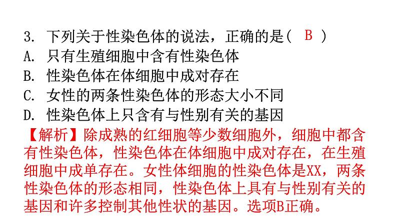 人教版八年级生物下册第七单元第二章第四节人的性别遗传分层作业课件04