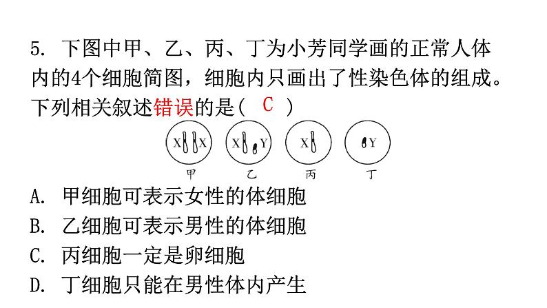 人教版八年级生物下册第七单元第二章第四节人的性别遗传分层作业课件06