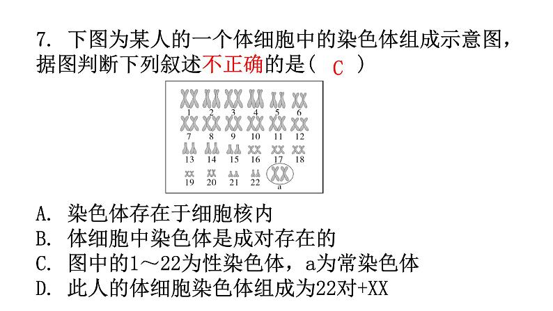 人教版八年级生物下册第七单元第二章第四节人的性别遗传分层作业课件08
