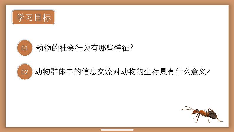 2.3社会行为课件PPT第2页