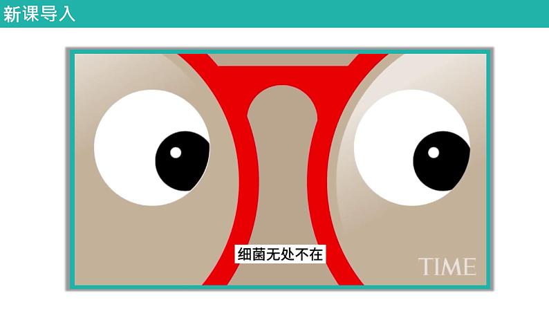 新人教版(新课标)生物八上:4.2细菌课件PPT第4页