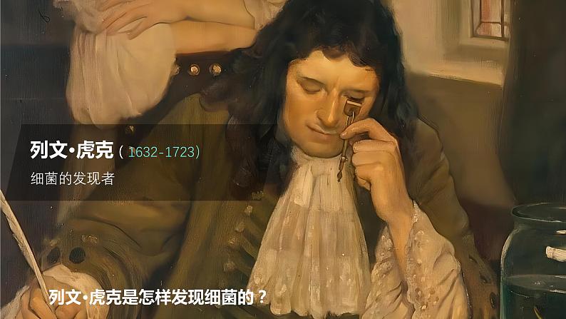 新人教版(新课标)生物八上:4.2细菌课件PPT第7页