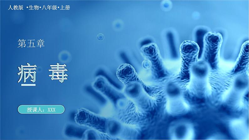新人教版(新课标)生物八上:5病毒课件PPT01