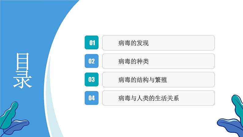 新人教版(新课标)生物八上:5病毒课件PPT02