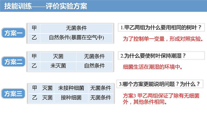 4.4細(xì)菌和真菌在自然界中的作用課件PPT第8頁(yè)