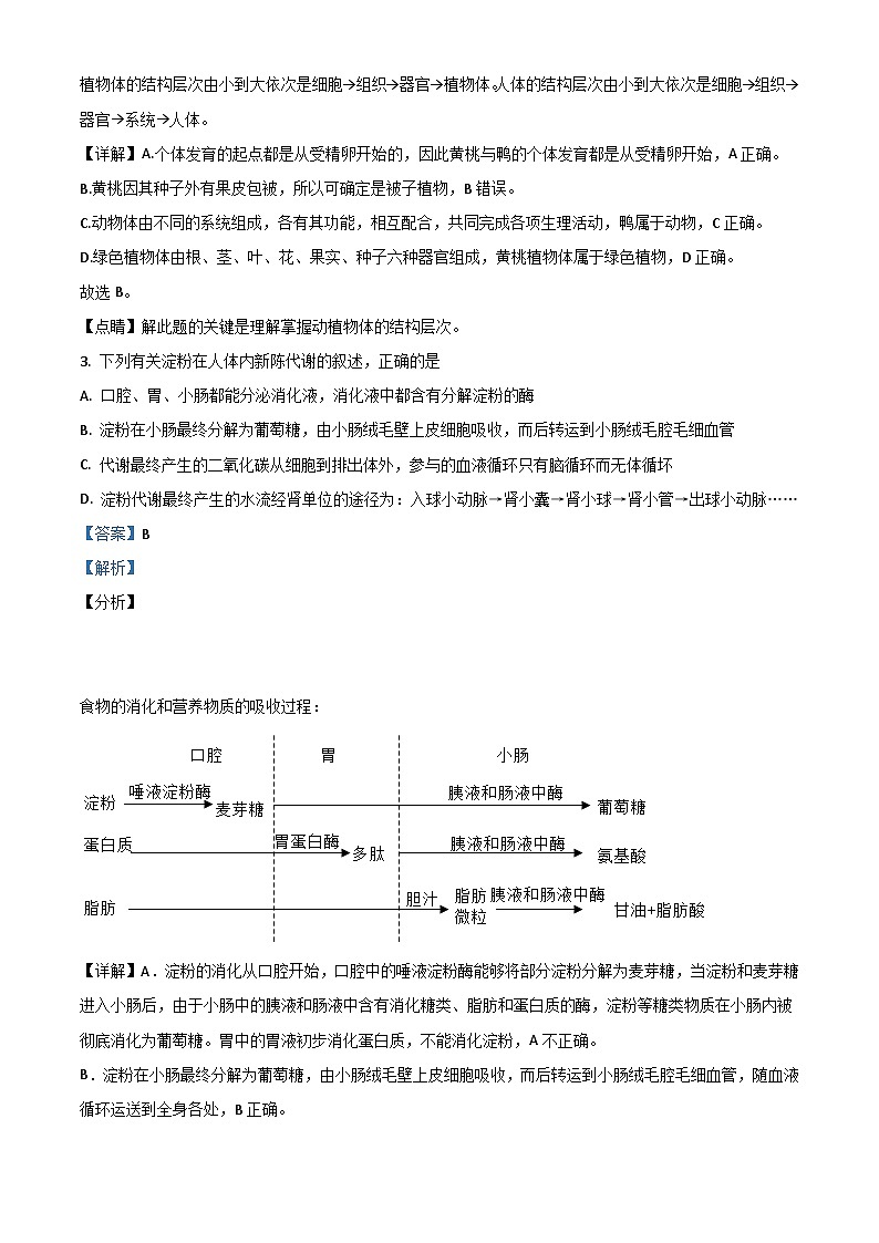 湖南省株洲市2020年中考生物试题(含解析)第2页