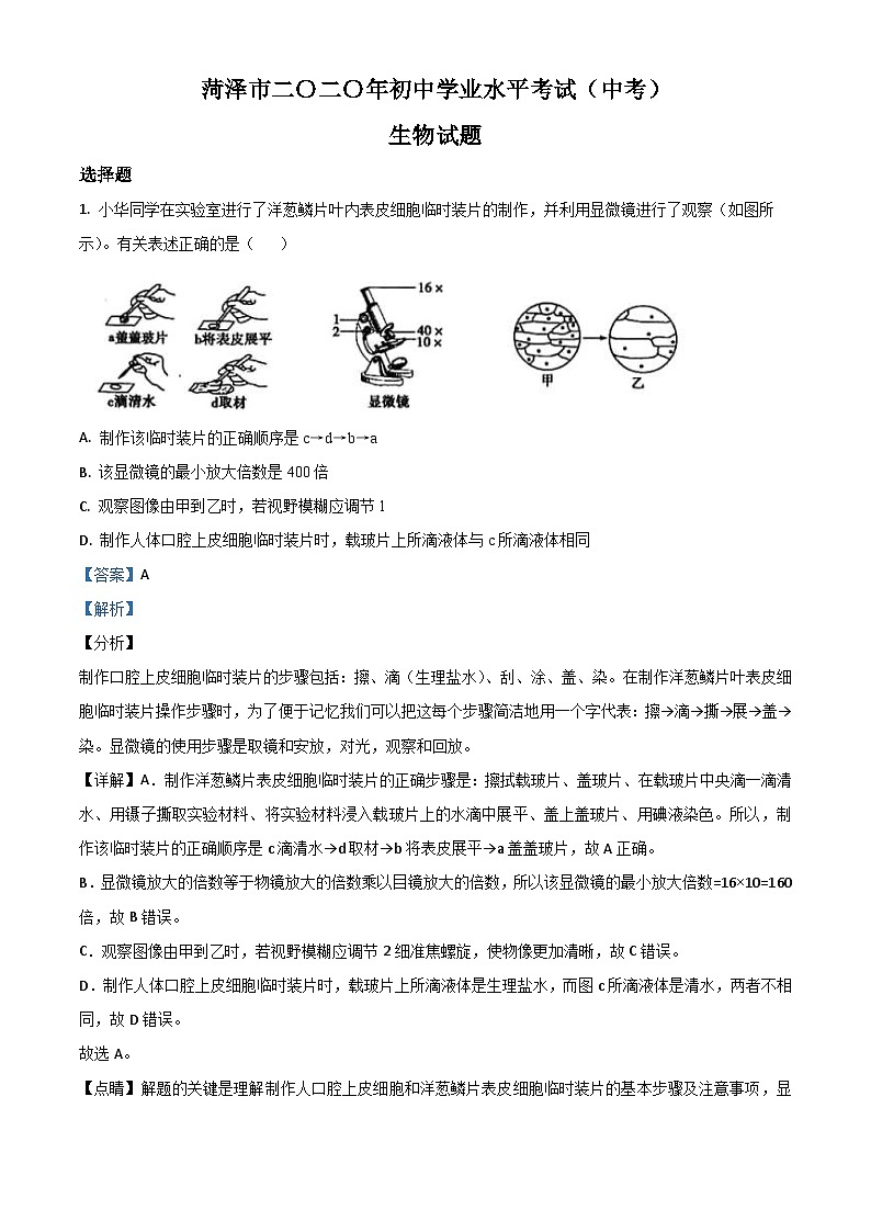 山东省菏泽市2020年中考生物试题(含解析)第1页