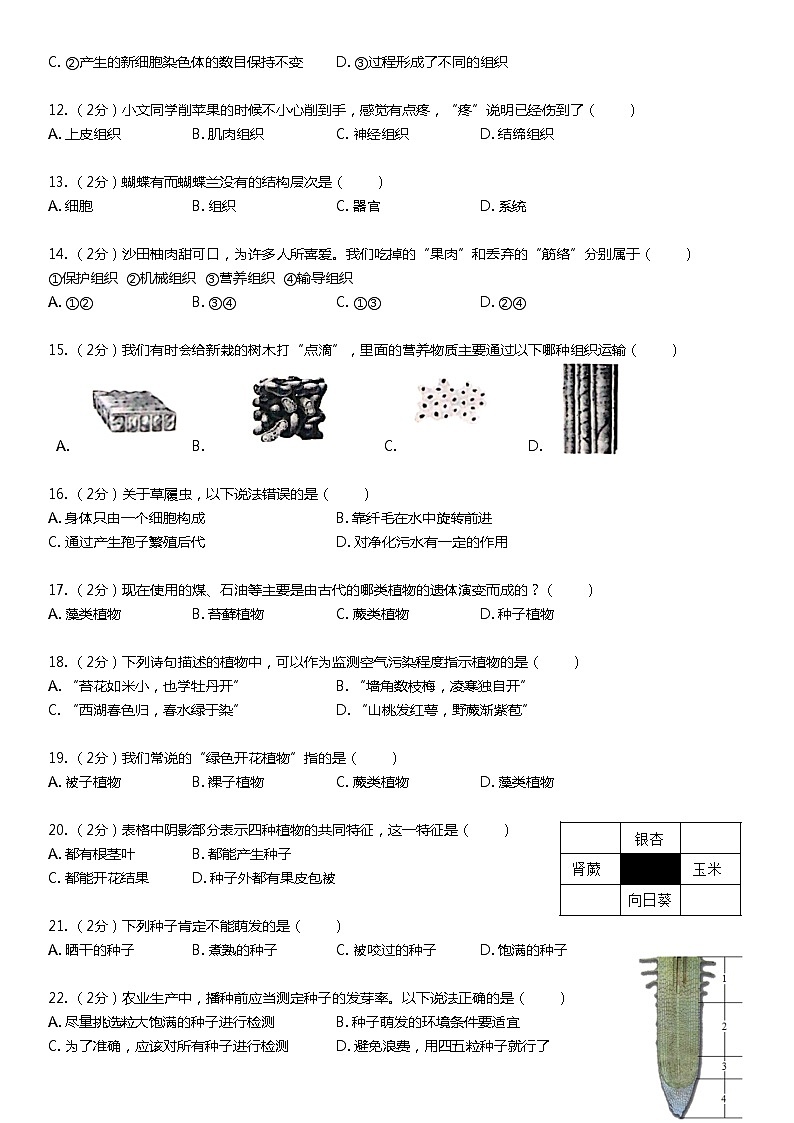 2020-2021学年深圳市龙岗区七年级上学期期末生物试卷-lolo第2页