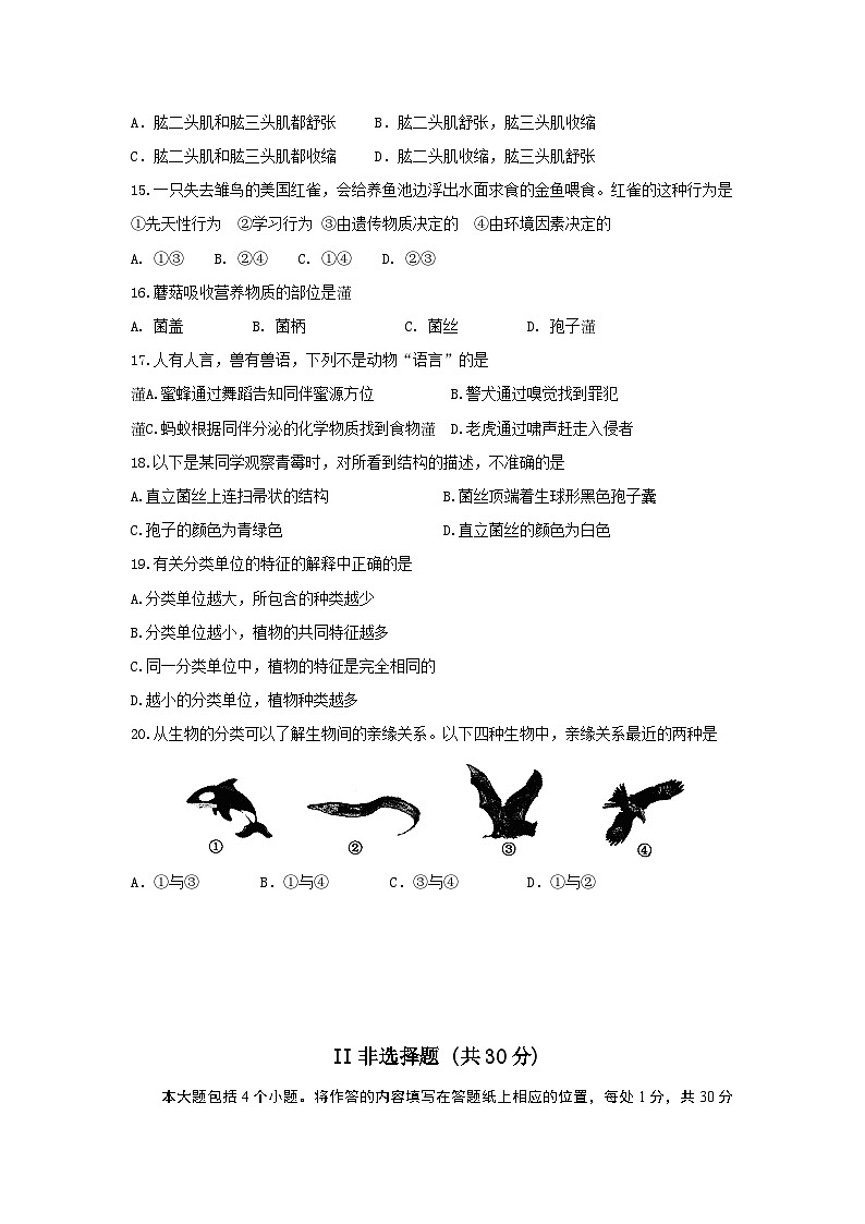 山东省菏泽市鄄城县2022-2023学年七年级上学期期末考试生物试题03