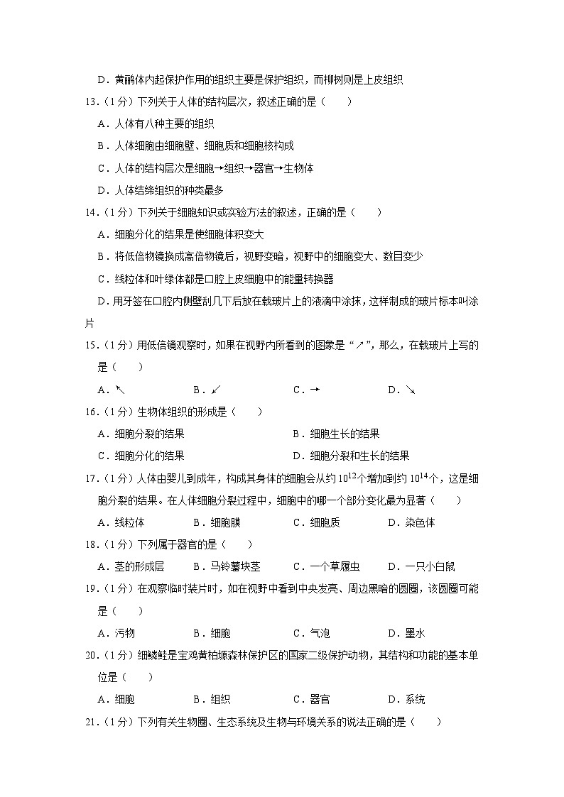 陕西省宝鸡一中2022-2023学年七年级上学期期中生物试卷第3页