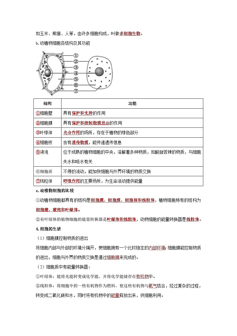 中考生物一轮复习考点梳理与过关练习专题02 细胞是生命活动的基本单位(含解析)03