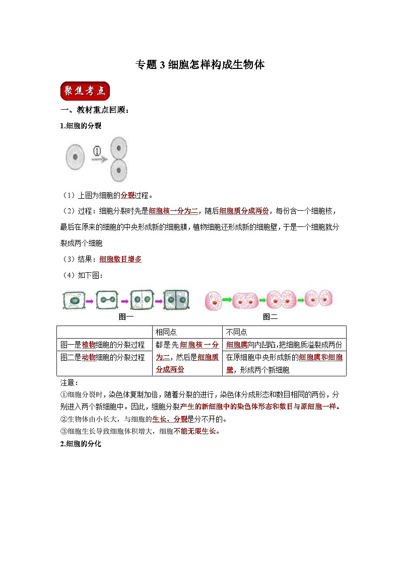 中考生物一轮复习考点梳理与过关练习专题03 细胞怎样构成生物体(含解析)第1页