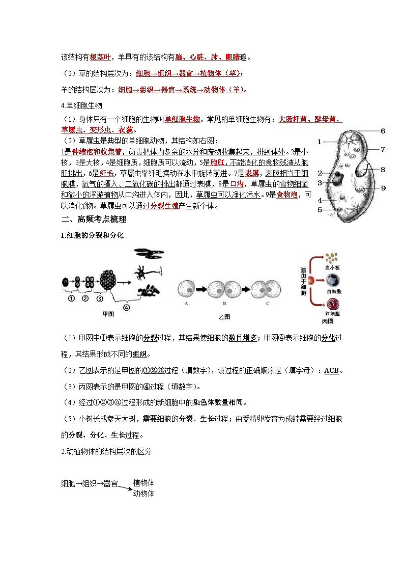 中考生物一轮复习考点梳理与过关练习专题03 细胞怎样构成生物体(含解析)第3页