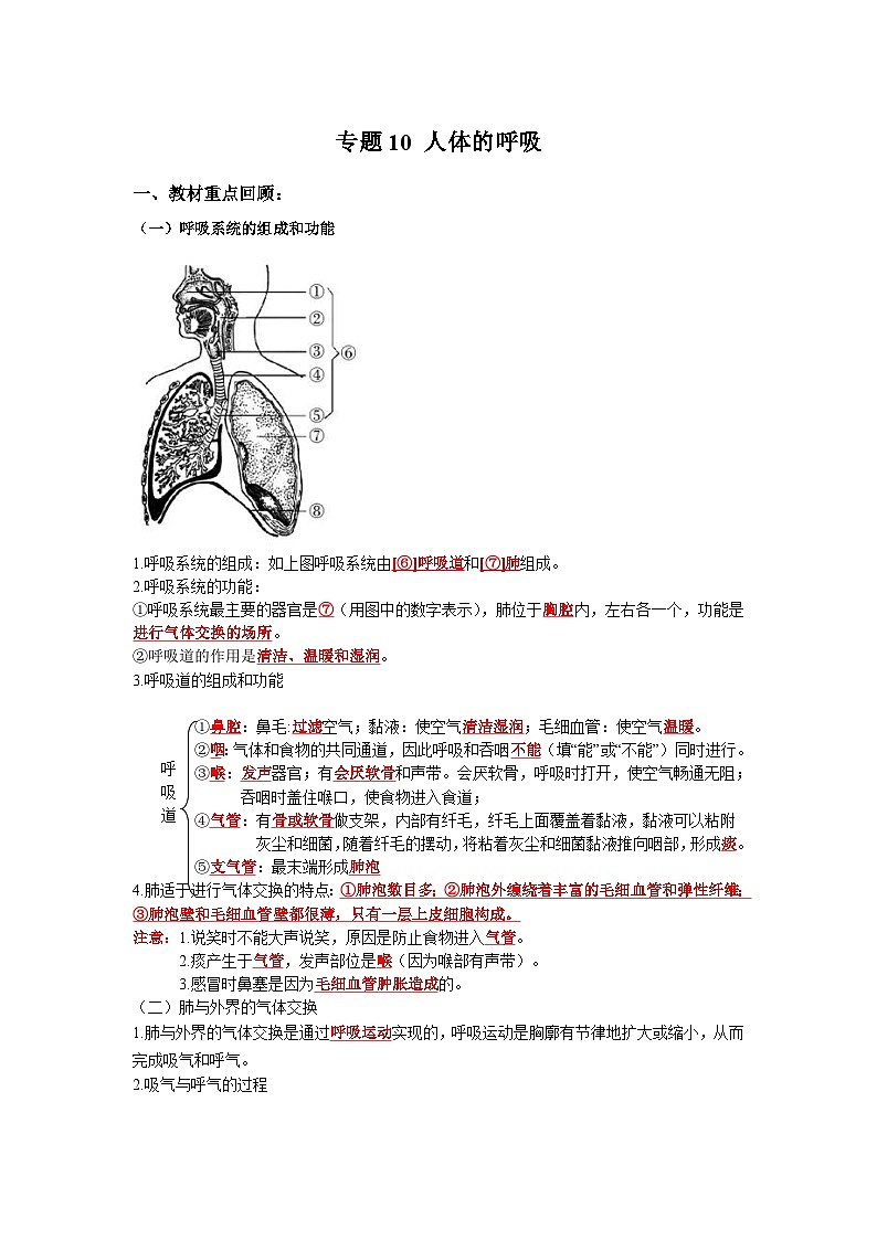 中考生物一轮复习考点梳理与过关练习专题10 人体的呼吸(含解析)01