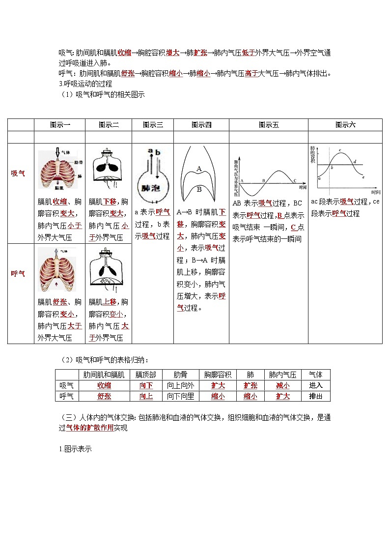 中考生物一轮复习考点梳理与过关练习专题10 人体的呼吸(含解析)02