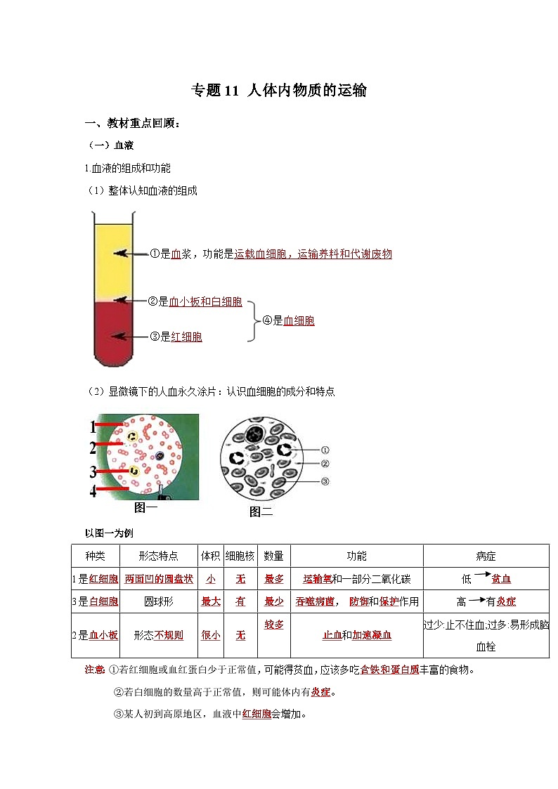 中考生物一轮复习考点梳理与过关练习专题11 人体内物质的运输(含解析)第1页
