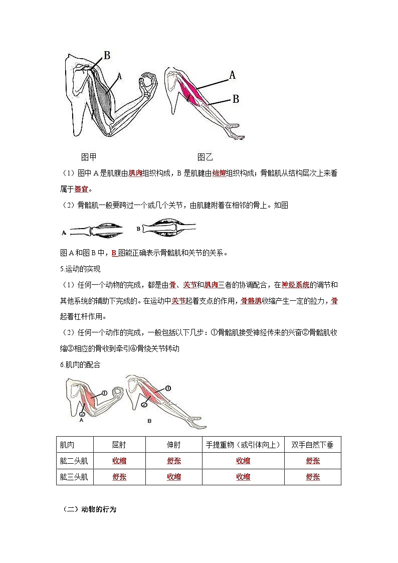 中考生物一轮复习考点梳理与过关练习专题15 动物的运动和行为及动物在生物圈中的作用(含解析)第2页
