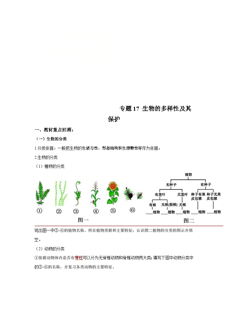 中考生物一轮复习考点梳理与过关练习专题17 生物的多样性及其保护(含解析)第1页
