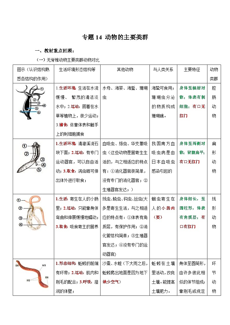 中考生物一轮复习考点梳理与过关练习专题14 动物的主要类群(含解析)01