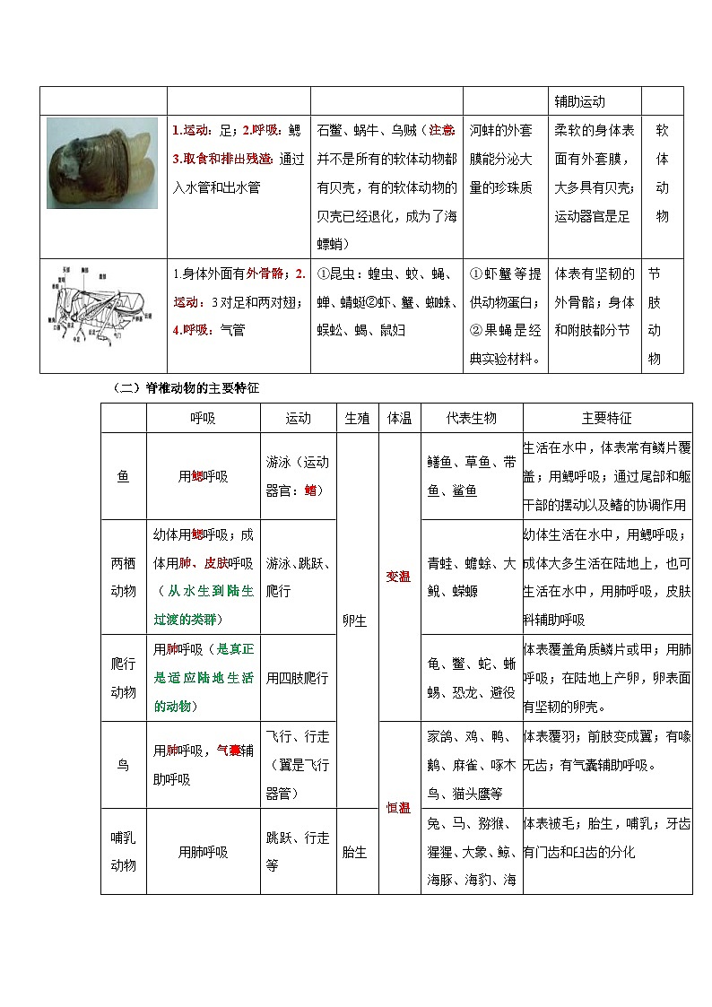 中考生物一轮复习考点梳理与过关练习专题14 动物的主要类群(含解析)02