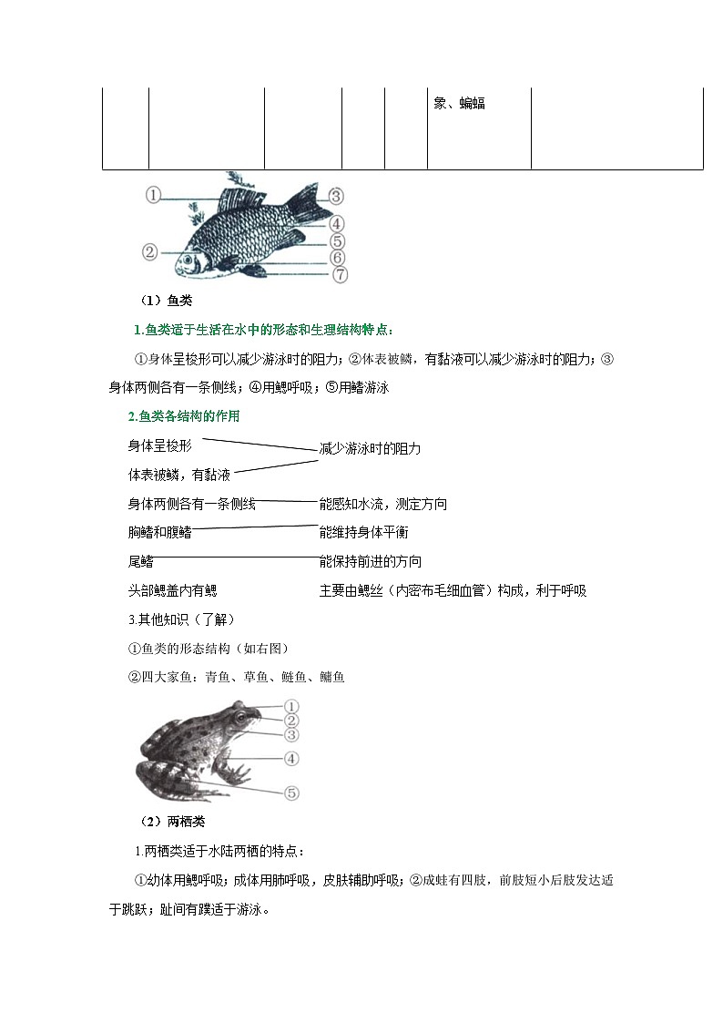 中考生物一轮复习考点梳理与过关练习专题14 动物的主要类群(含解析)03
