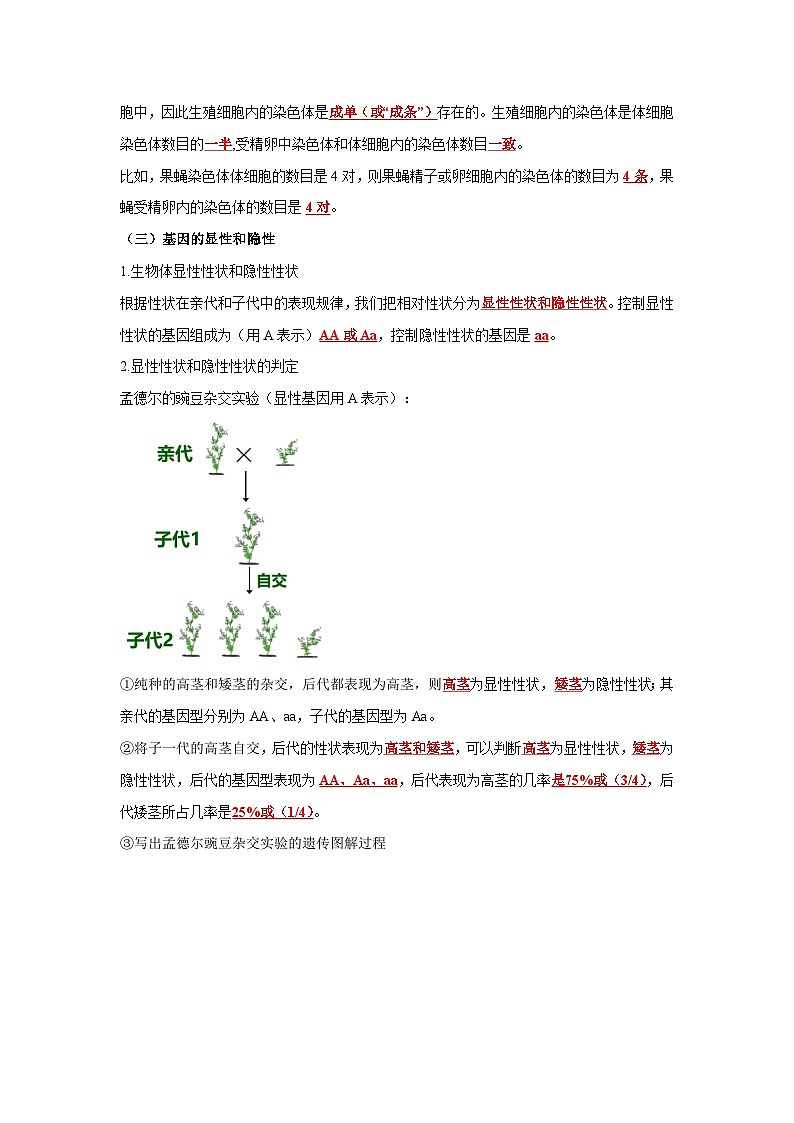 中考生物一轮复习考点梳理与过关练习专题19 生物的遗传与变异(含解析)第3页