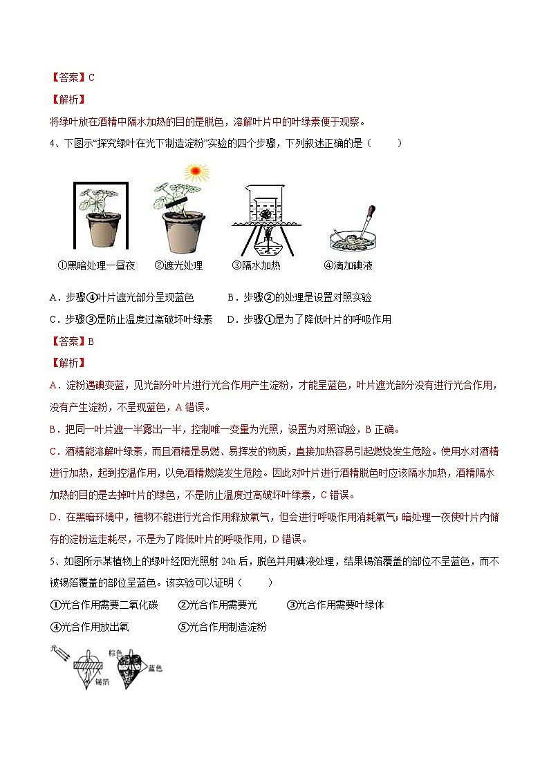 中考生物一轮复习精炼习题专题07 绿色植物的光合作用(含解析)第2页