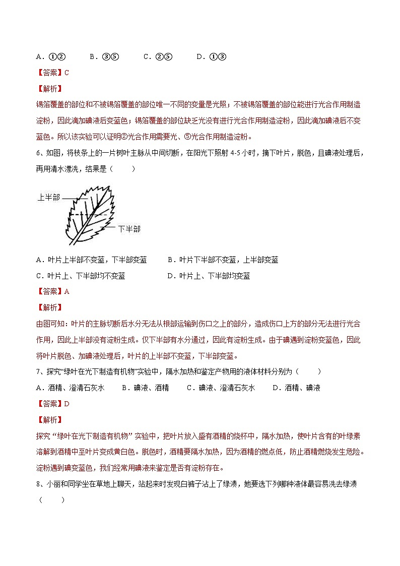 中考生物一轮复习精炼习题专题07 绿色植物的光合作用(含解析)第3页