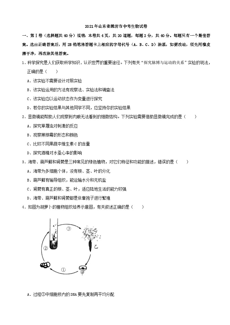2021年山东省潍坊市中考生物真题(word版,含解析)01