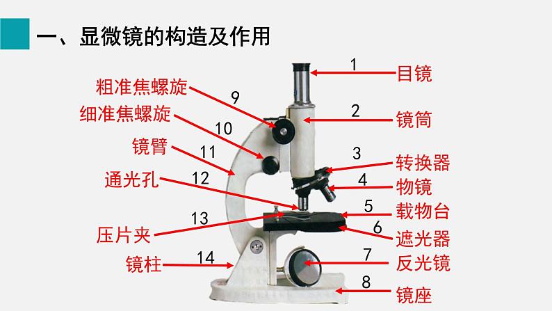 2.1.1练习使用显微镜课件第2页