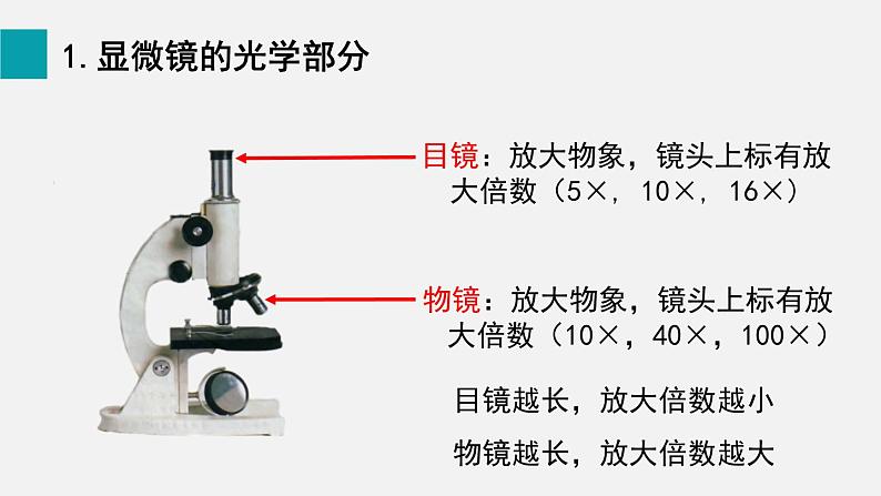 2.1.1练习使用显微镜课件第3页
