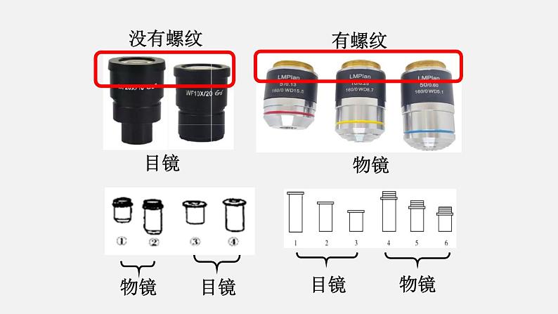 2.1.1练习使用显微镜课件第4页