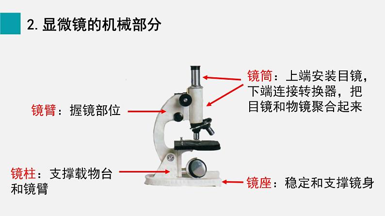 2.1.1练习使用显微镜课件第7页