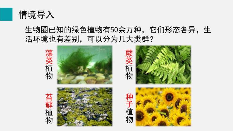 5.1藻类、苔藓和蕨类植物课件02