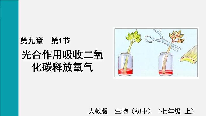 9.1光合作用吸收二氧化碳释放氧气课件第1页