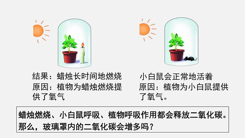 9.1光合作用吸收二氧化碳释放氧气课件第7页