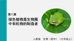 8.1绿色植物是生物圈中有机物的制造者课件