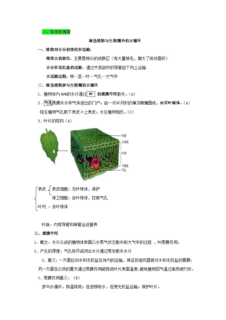 中考生物三轮复习考前冲刺练习专题03 绿色植物与生物圈中的水循环(含解析)第2页