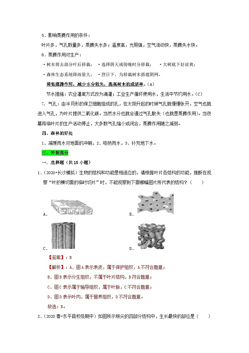 中考生物三轮复习考前冲刺练习专题03 绿色植物与生物圈中的水循环(含解析)第3页