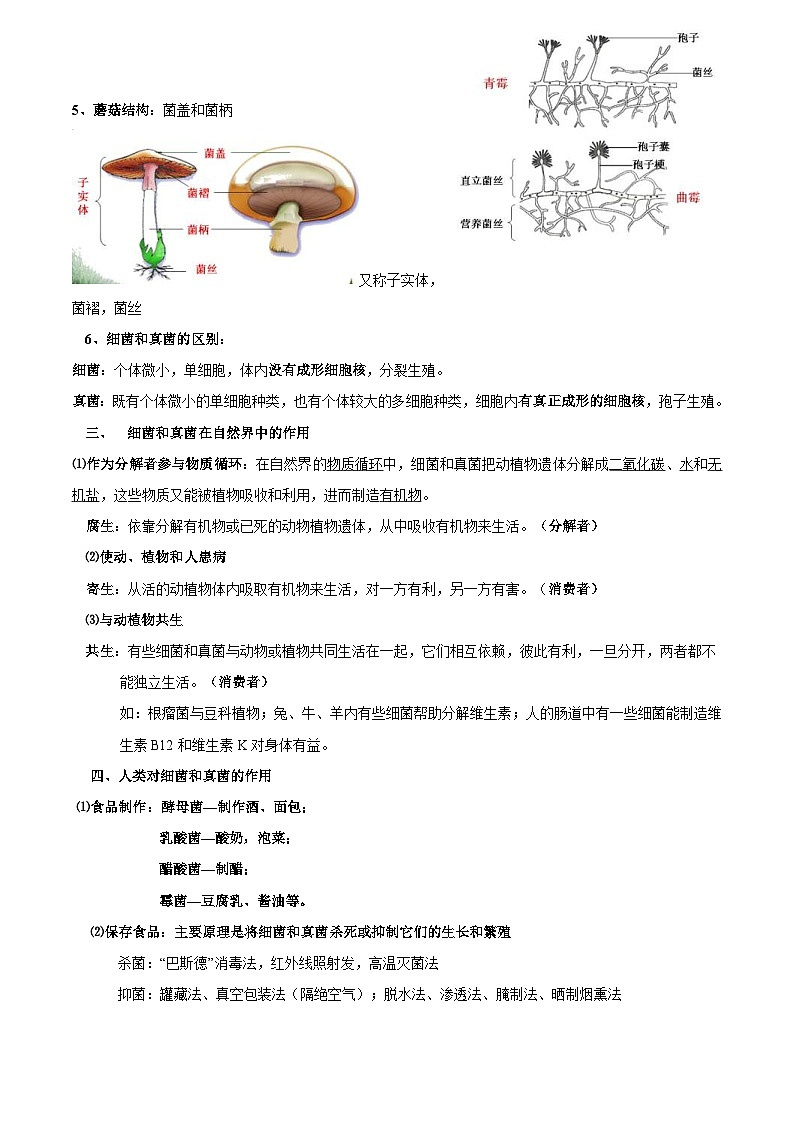 中考生物三轮复习考前冲刺练习专题13 细菌和真菌(含解析)第3页