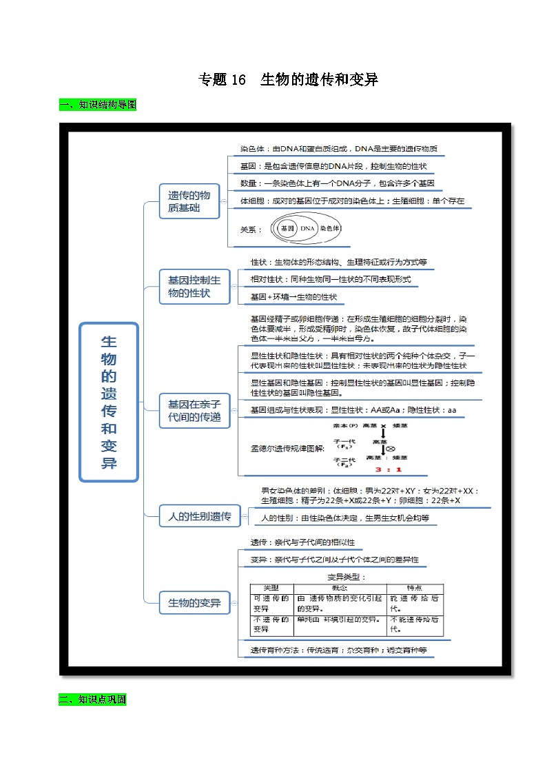中考生物三轮复习考前冲刺练习专题16 生物的遗传和变异(含解析)01