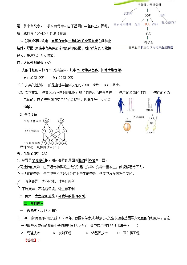 中考生物三轮复习考前冲刺练习专题16 生物的遗传和变异(含解析)03