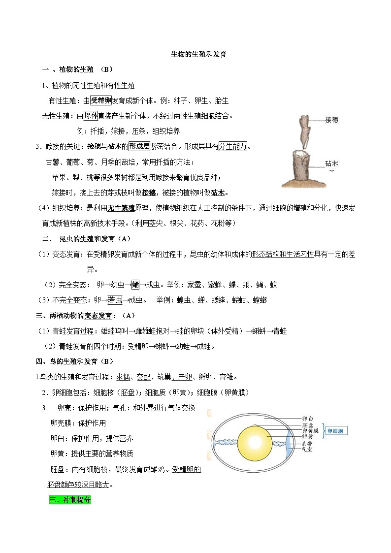 中考生物三轮复习考前冲刺练习专题15 生物的生殖和发育(含解析)第2页