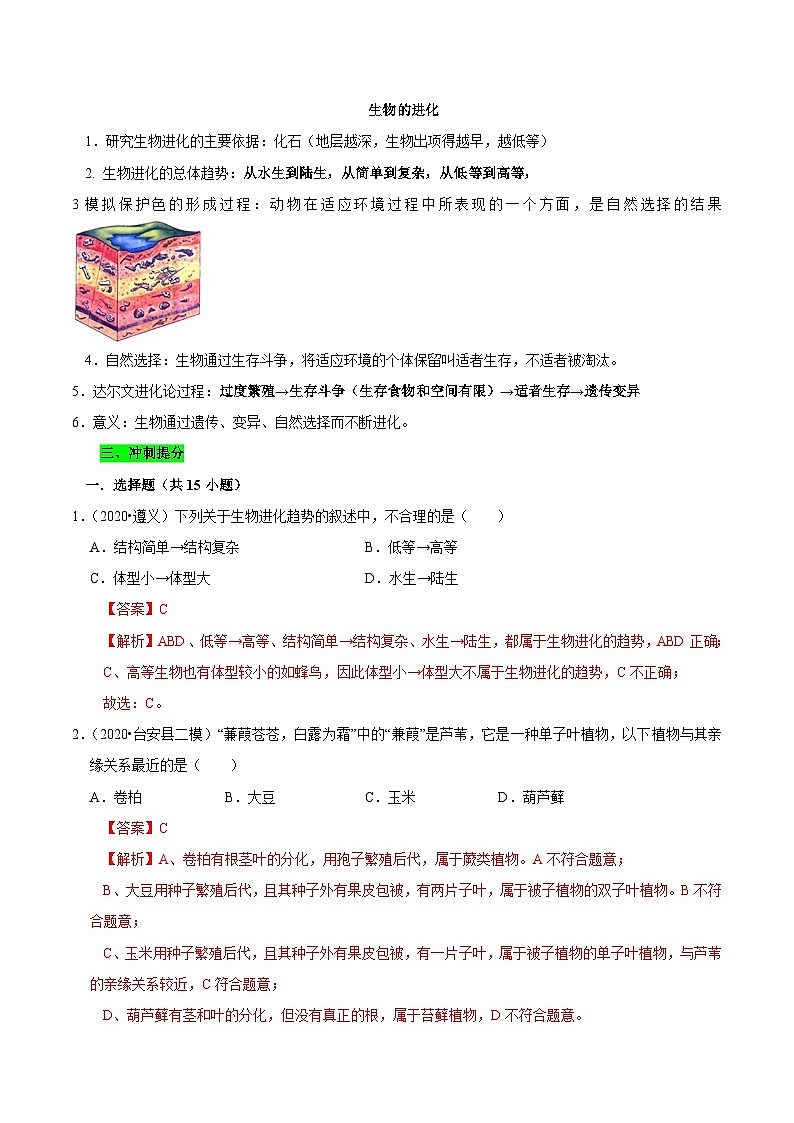 中考生物三轮复习考前冲刺练习专题17 生物的进化(含解析)第2页