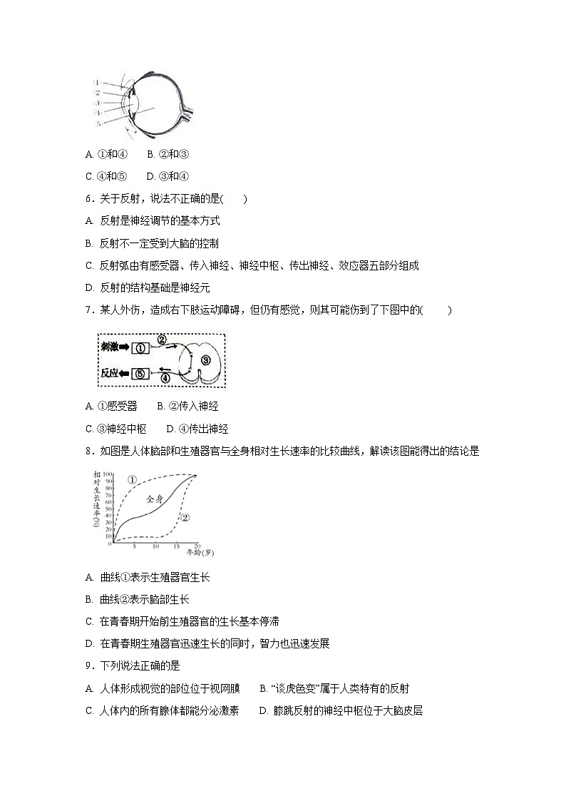 中考生物一轮复习专项训练15:人体生命活动的调节(含解析)02